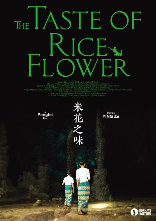 仿制佐治亚州